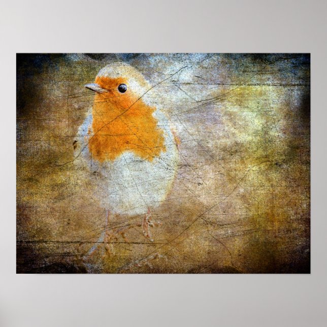 Robin Grunge Poster (Framsidan)