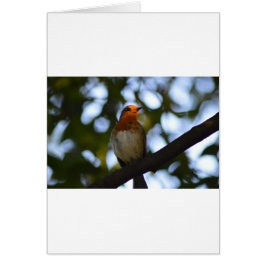 Robin Hälsningskort