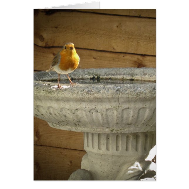 Robin Hälsningskort (Framsidan)