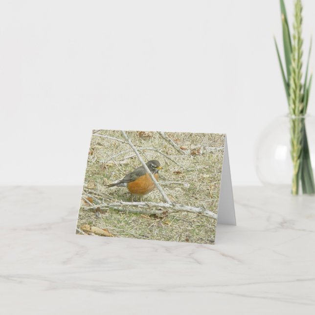 Robin Harbinger från Vår Card Helgkort (Framsida)