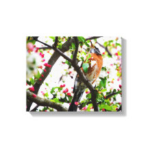 Robin i Blooming Crabapple Träd Print Canvas