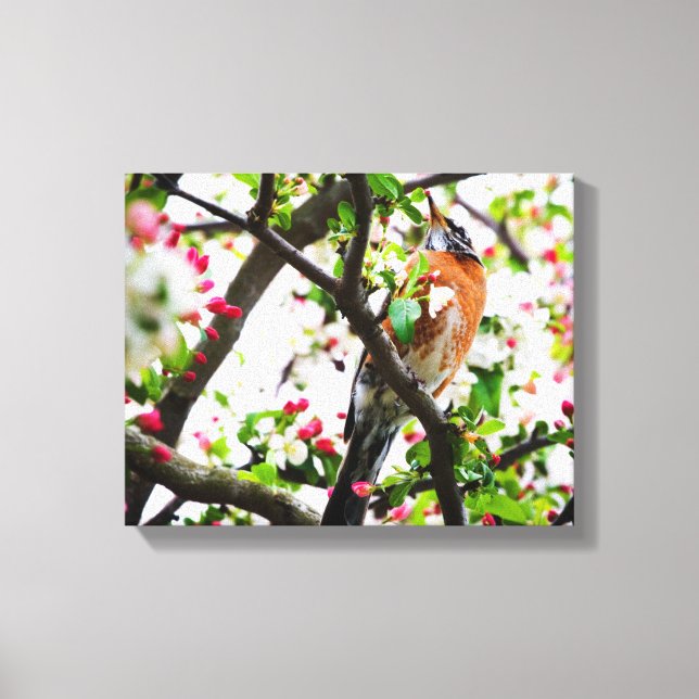 Robin i Blooming Crabapple Träd Print Canvas (Framsida)