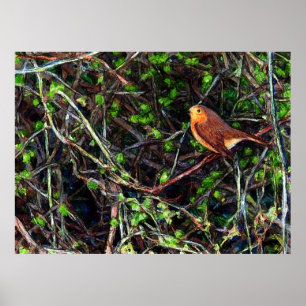 Robin i en hedge poster