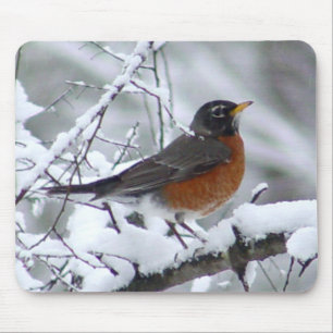 Robin i snöfågeln Mousepad Musmatta