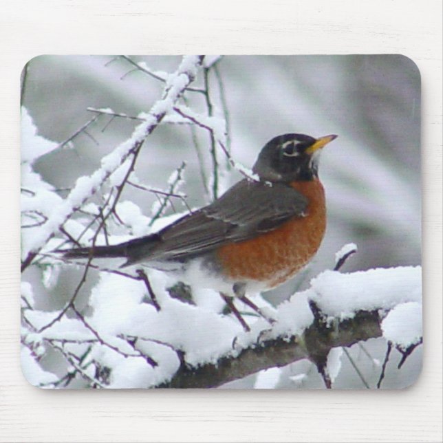 Robin i snöfågeln Mousepad Musmatta (Framsidan)
