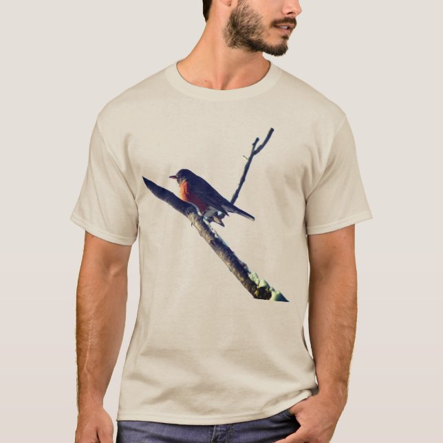 Robin In Snö Nature T Shirt (Framsida)