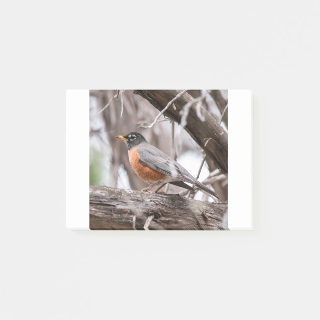 Robin in the trees post-it block (Framsida)