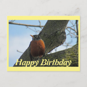 Robin in Träd Photo Birthday Vykort