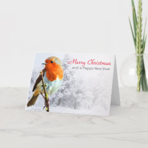 Robin in Winter-julkort Helgkort