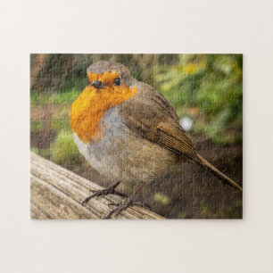 Robin Jigszle Puzzle Pussel