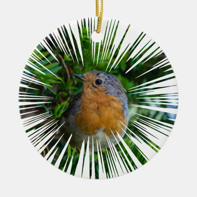 Robin Julgran ornament (Framsidan)