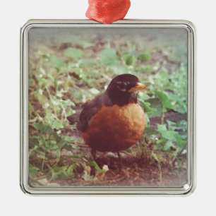 Robin Julgransprydnad Metall