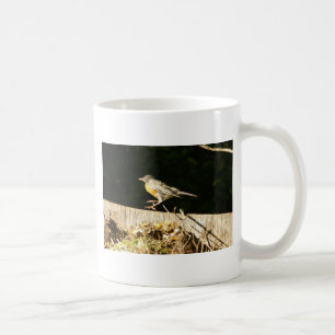 Robin Kaffemugg