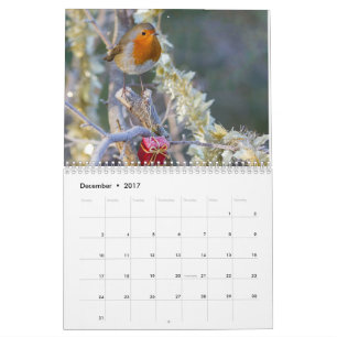 Robin kalender 2017
