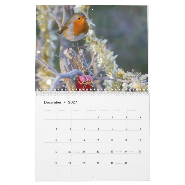 Robin kalender 2017 (Dec 2027)