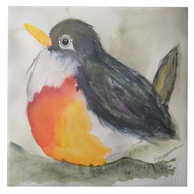 Robin Keramisk kök Kakelplatta (Framsidan)