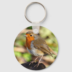 Robin Keychain Nyckelring