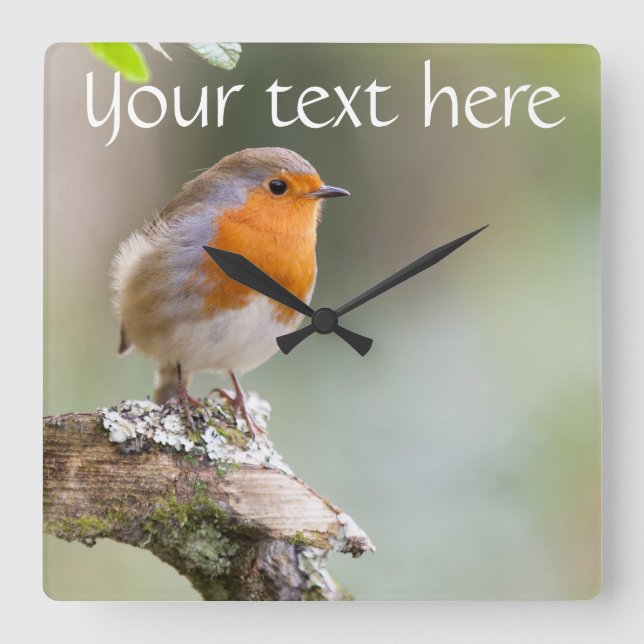 Robin-klocka lägga till din egen text fyrkantig klocka (Framsida)