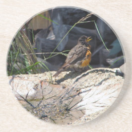 Robin kustfartyg underlägg