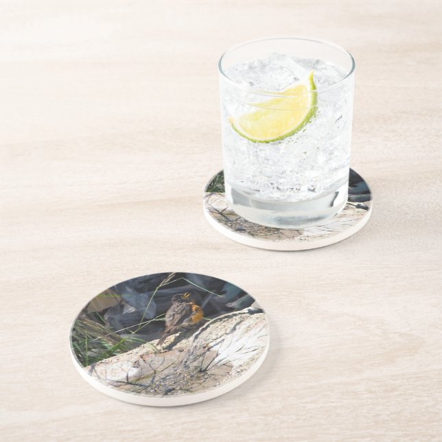 Robin kustfartyg underlägg (Sidan)