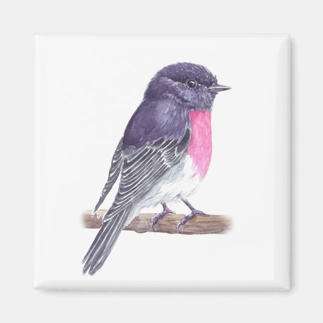 Robin Magnet (Framsidan)