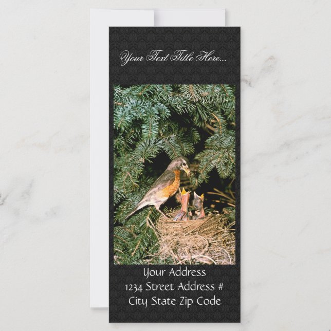 Robin med Chickar (Framsida)