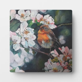 Robin med körsbärsblomma