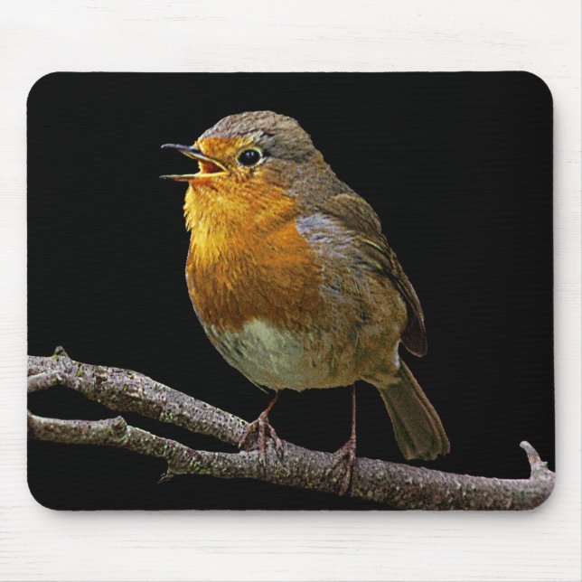 Robin Mousepad Musmatta (Framsidan)
