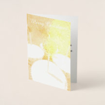 Robin Muffinss julklapp