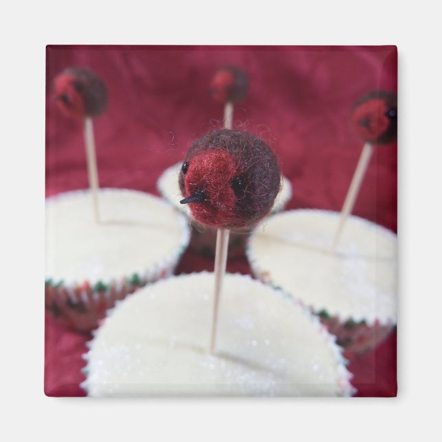 Robin Muffinss Magnet (Framsidan)