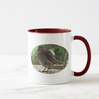 Robin Mugg