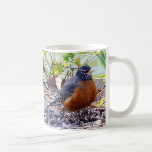 Robin mugg (Höger)