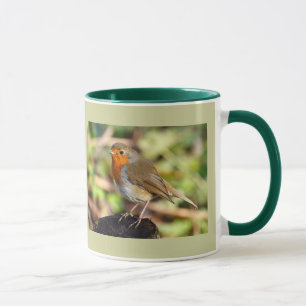 Robin mugg