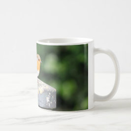 Robin Mugg