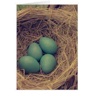 Robin Nest och Eggs Hälsningskort