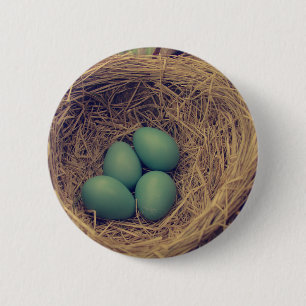 Robin Nest och Eggs Knapp