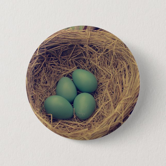Robin Nest och Eggs Knapp (Framsida)