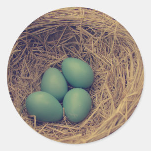 Robin Nest och Eggs Runt Klistermärke