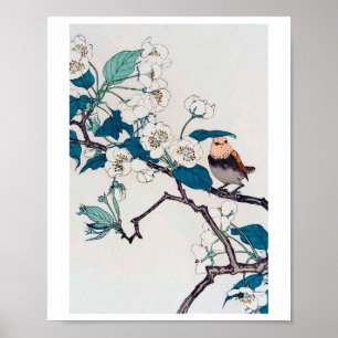 Robin och Cherry Blommars, Imao Keinen Poster
