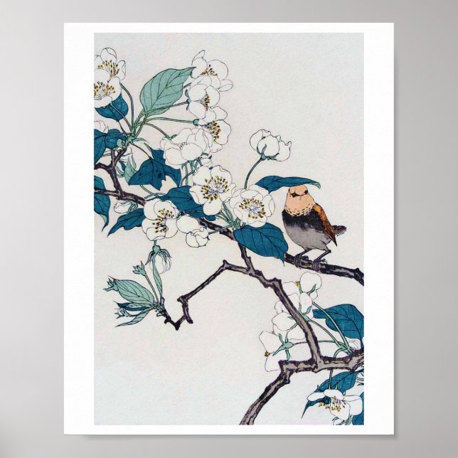 Robin och Cherry Blommars, Imao Keinen Poster (Framsidan)