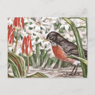 Robin och röda tulpaner vårblommor målning vykort