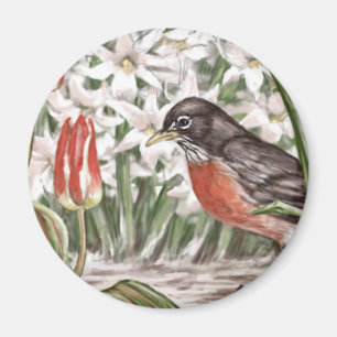 Robin och rött måla för tulpanvår blommor magnet