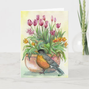 Robin och Tulips Kort