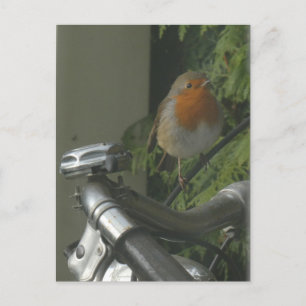 Robin på Bicycle Close Up DIY Postcard Vykort