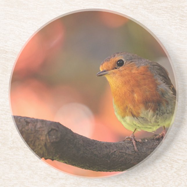 Robin på gren underlägg sandsten (Framsidan)
