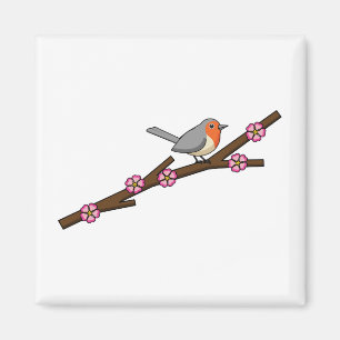 Robin på Sakura Magnet