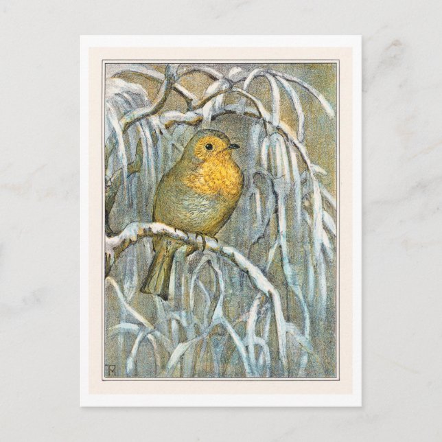 Robin på Snowy Träd Gren Vykort (Framsida)