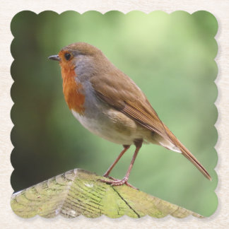 Robin Papper Underläggs Underlägg Papper