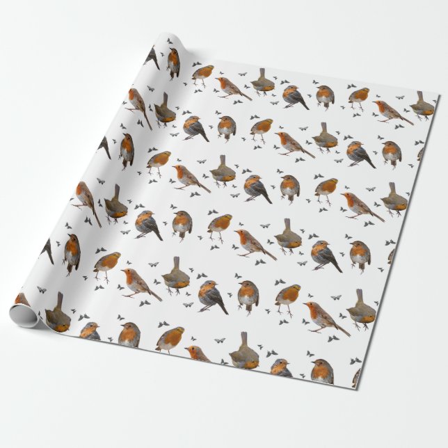 Robin Party Wrapping Papper (välj färg) Presentpapper (Utrullad)