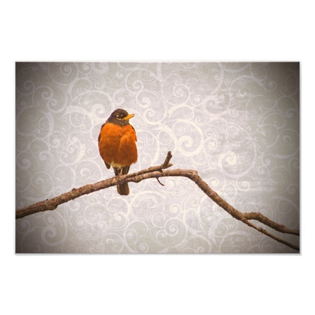 Robin Photo med Damask Swirl Design Fototryck (Framsidan)